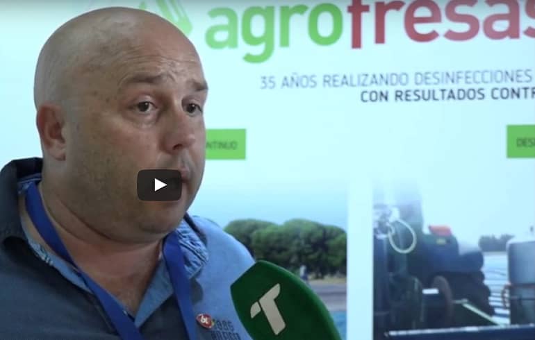 Actualidad - Agrofresas S.A
